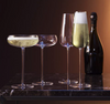 Wine Culture Champagne Flute Set of 2  by LSA