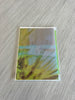 Tiburon Inspired Greeting Cards in Water Colors by Amelia Plumb