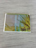 Tiburon Inspired Greeting Cards in Water Colors by Amelia Plumb