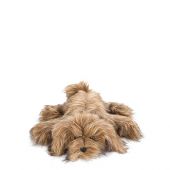 Plush Oscar Dog in Beige by Fiorira Un Giadino