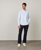 Paul Sky Blue Regular Cotton 