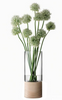 Lotta Vase with Lantern and Ash Base in Three Sizes by LSA